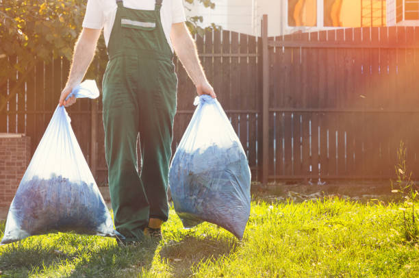 Best Shed Removal  in Johnston City, IL